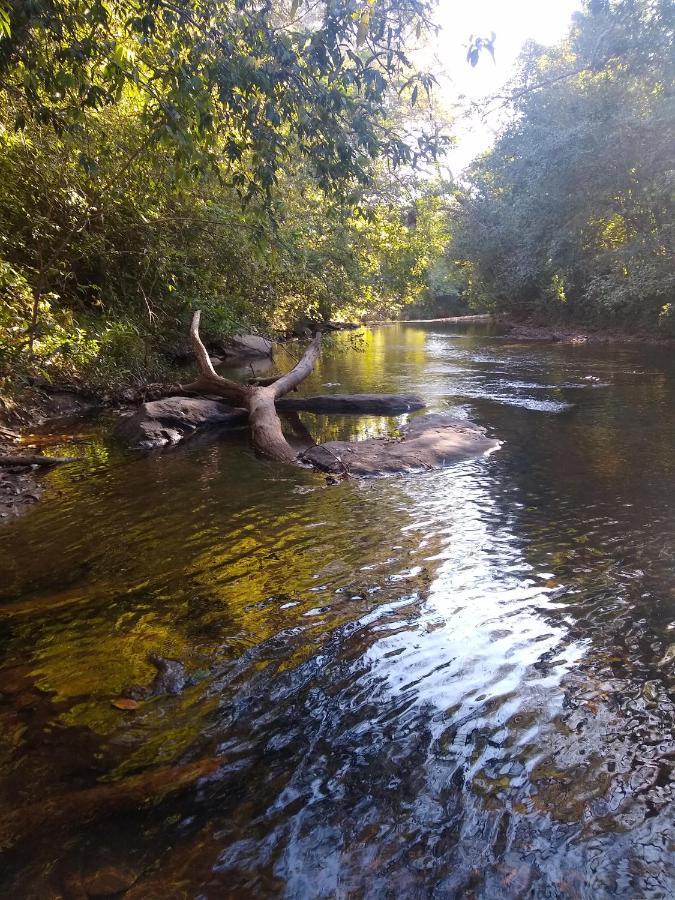 Pousada Primavera Dos Pireneus Pirenópolis Eksteriør bilde